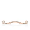 Chambelink Strass – Schmuck für Schuhe – Metall und Strass – Roségold Chambelink Strass – Schmuck für Schuhe – Metall und Strass – Roségold
